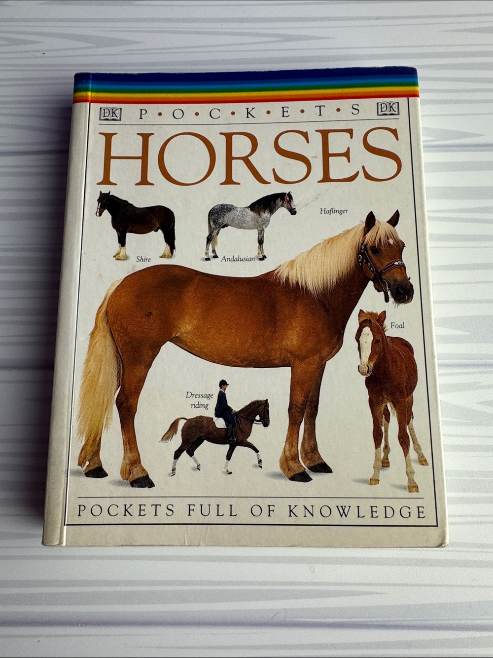 DK Pockets Horses Pocket Guide Vintage 1995 David Alderton Paperback Book